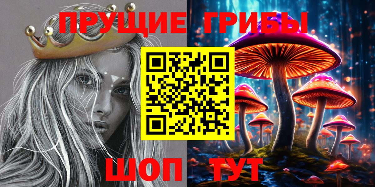 Галлюциногенные грибы Cubensis Чапаевск